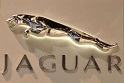 JAGUAR [ORG]