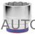 ГОЛОВКА ТОРЦЕВАЯ СТАНДАРТНАЯ ДВЕНАДЦАТИГРАННАЯ 1", 80 ММ KING TONY купить на Autoparts Market ГОЛОВКА ТОРЦЕВАЯ СТАНДАРТНАЯ ДВЕНАДЦАТИГРАННАЯ 1", 80 ММ KING TONY купить в Автопартс Маркет